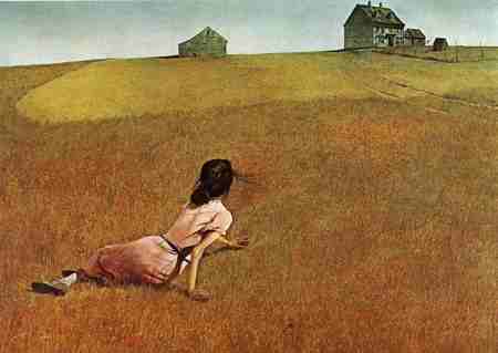 CONHE�A O PINTOR  ANDREW WYETH