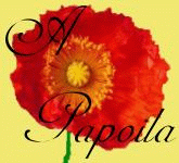 papoila.jpg